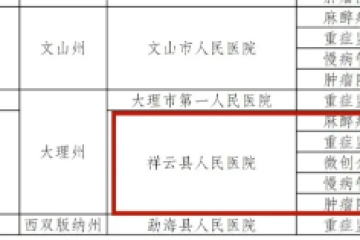 祥云县人民医院临床服务“五大中心”通过省级验收