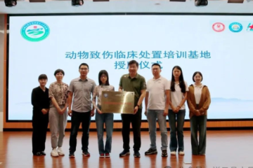 祥云县人民医院迎接“破伤风十百千工程规范门诊”评审