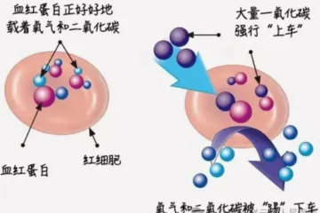 警惕！一氧化碳中毒安全提示